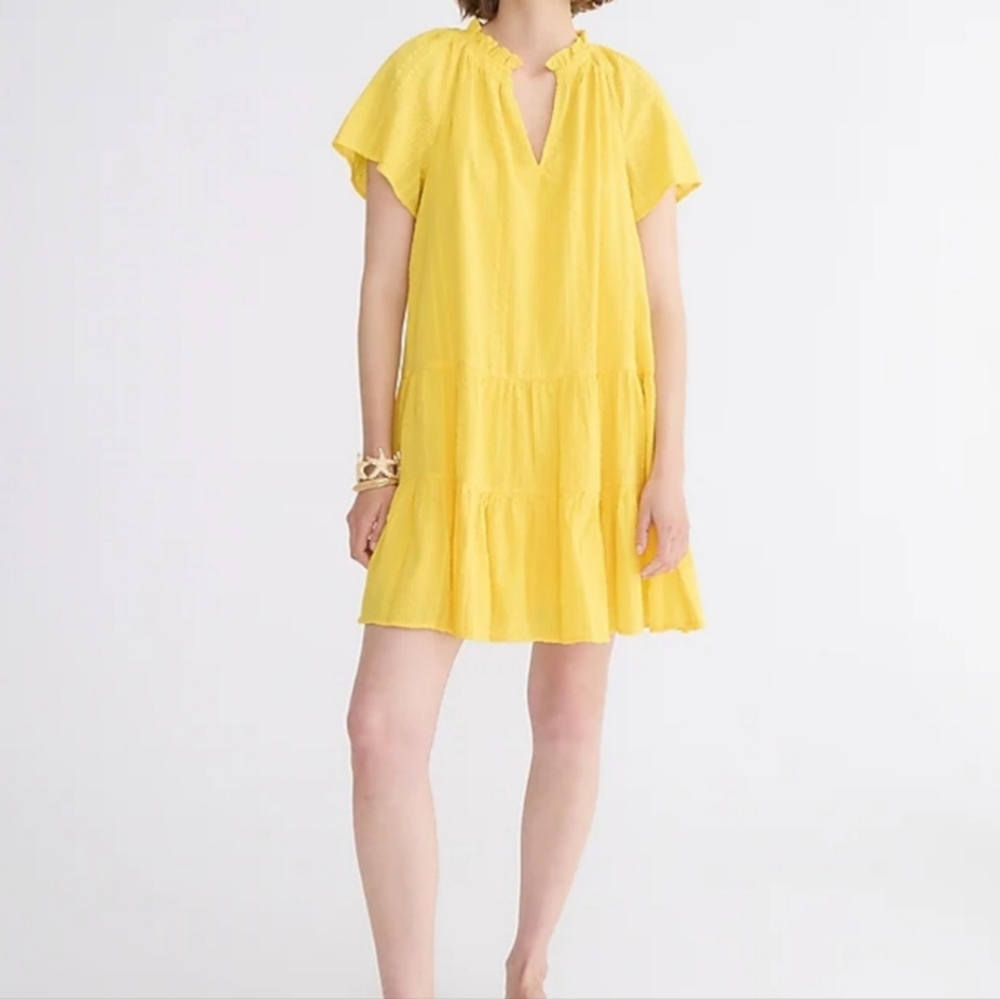 J Crew Ruffle Trim Tiered Dress